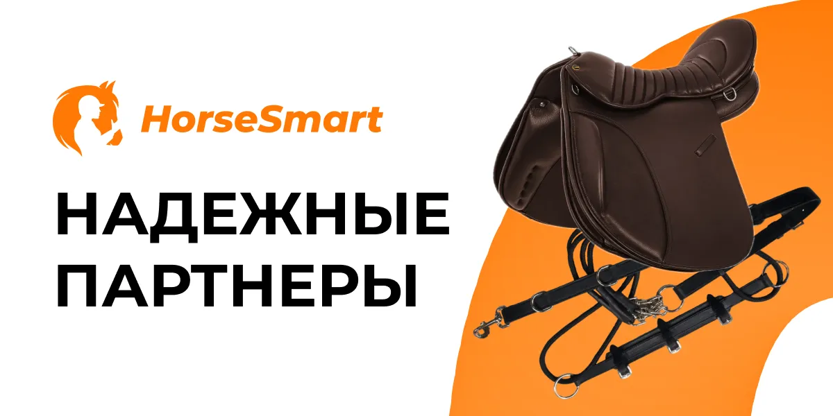 Надежные партнеры HorseSmart