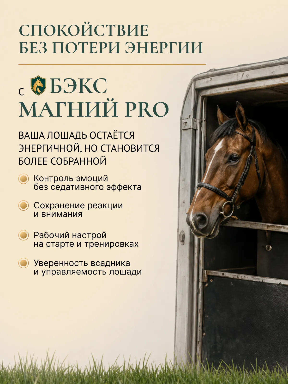Успокаивающая подкормка для лошадей "МАГНИЙ PRO"