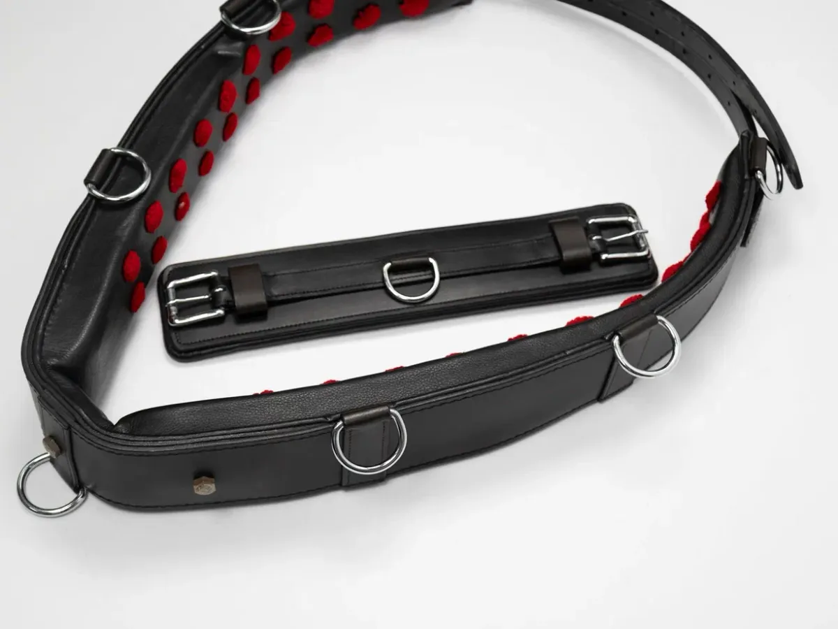 Тренинг система Lammert Haanstra