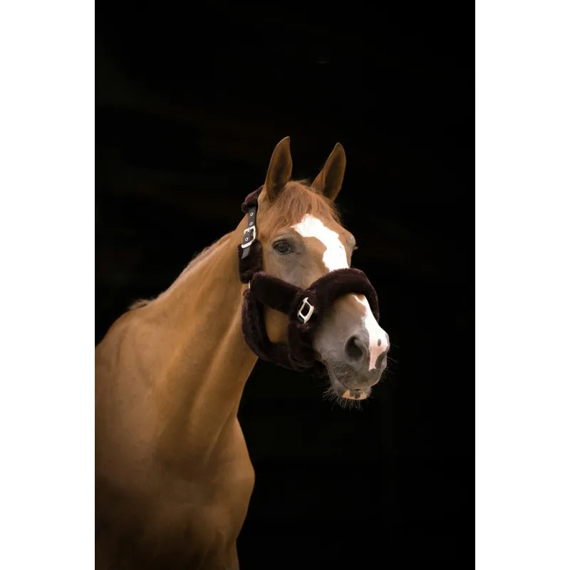 Недоуздок EQUITHEME Teddy