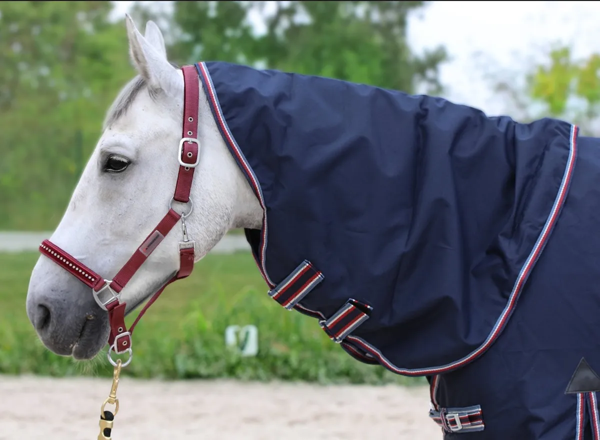 Капор HE дождевой темно-синий Cob