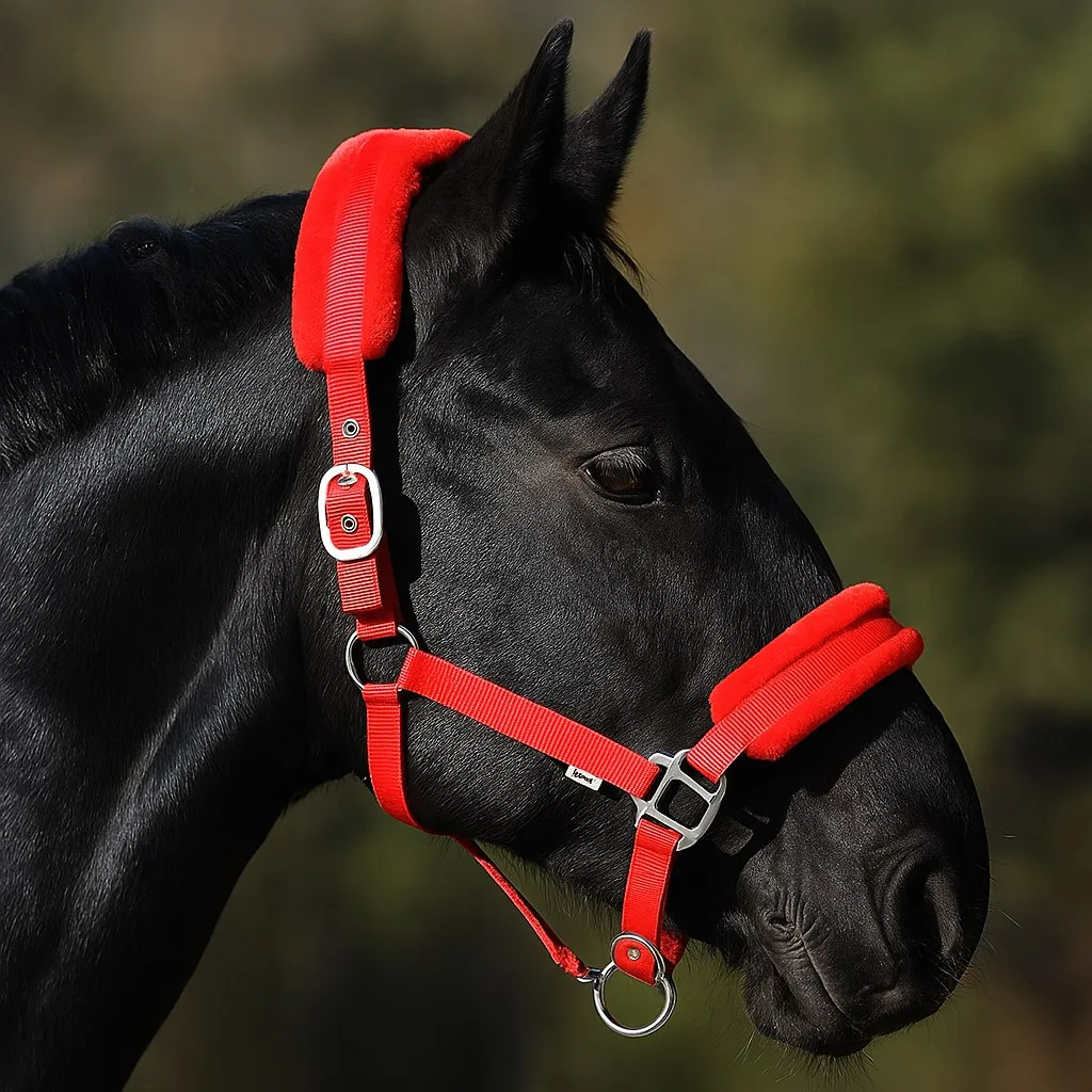 Недоуздок с мехом Full HorsePlanet (Full, Красный)