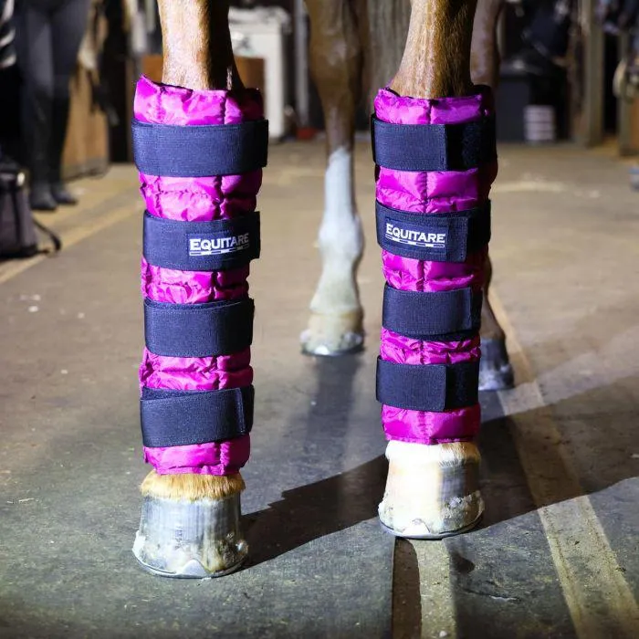 Ватники(ногавки) Equitare Cooling Pads охлаждающие, пара (синий)