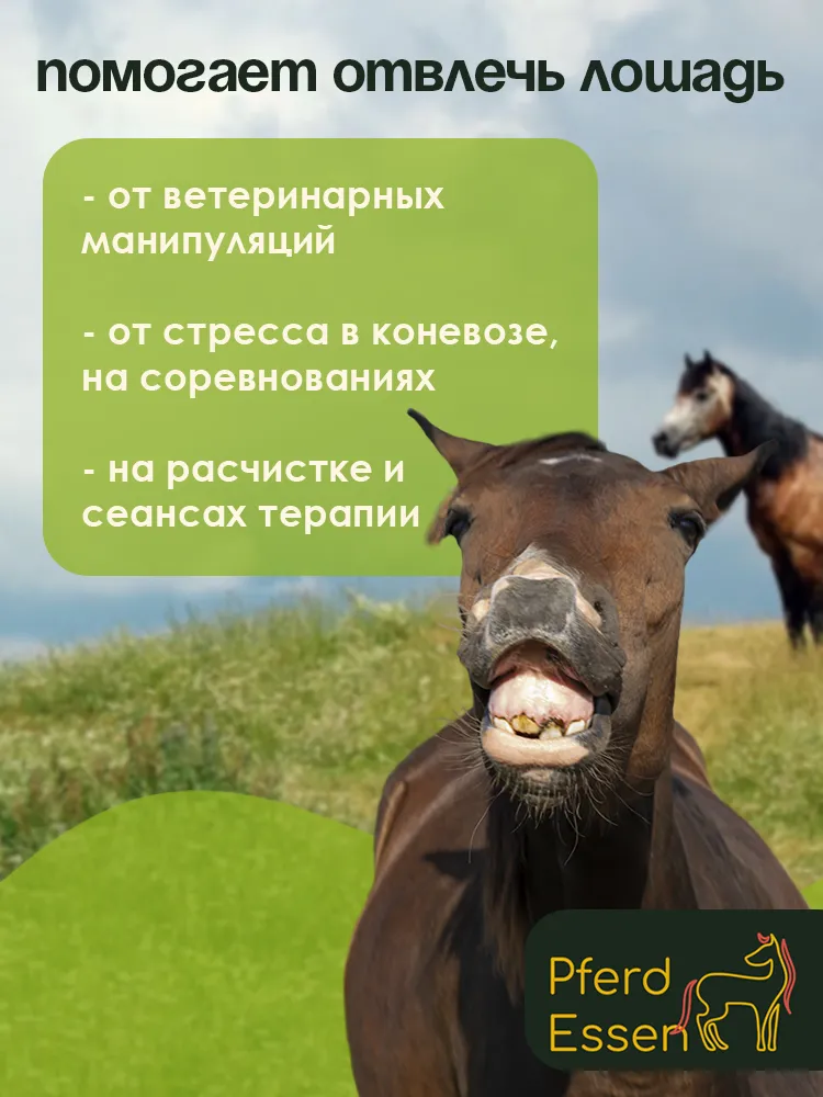 Лизунец (ликит) без сахара яблочный 600гр PferdEssen