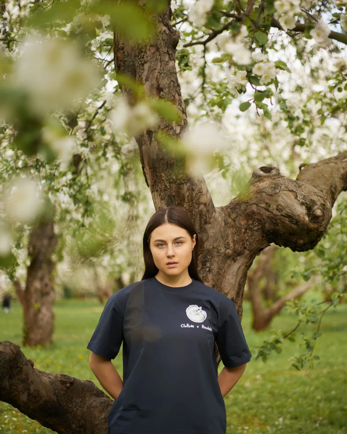 Футболка фуме Gray Horse