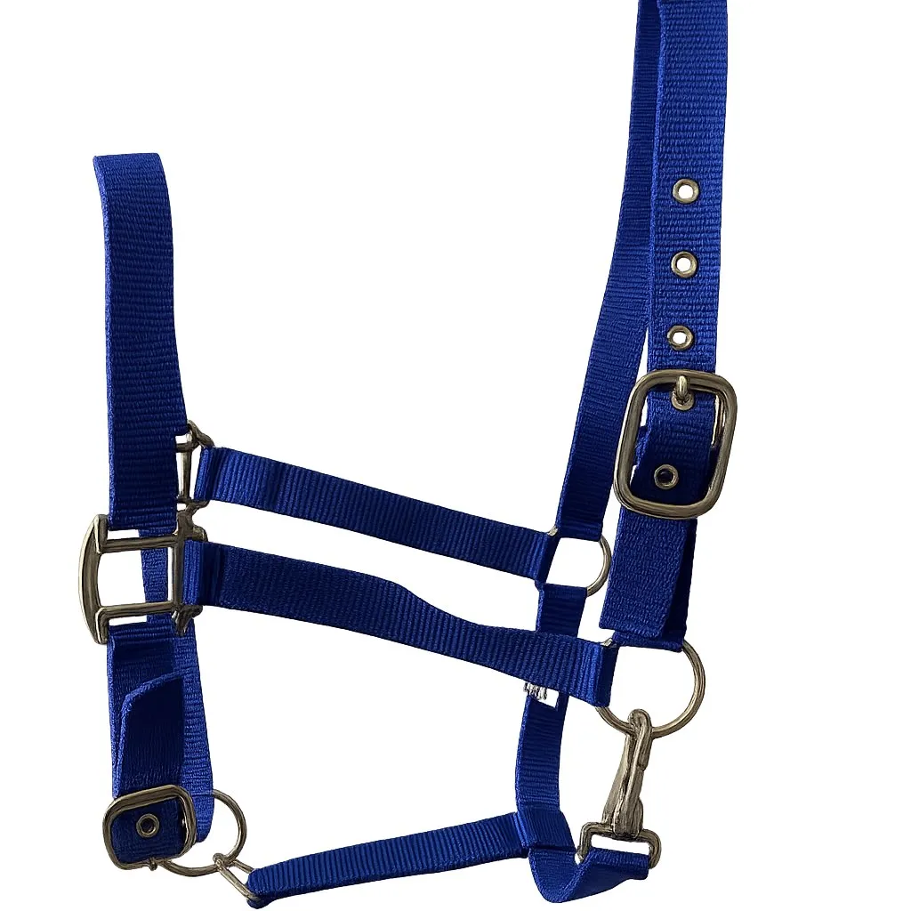 Недоуздок нейлоновый TRANGO HorsePlanet (Full, Синий)