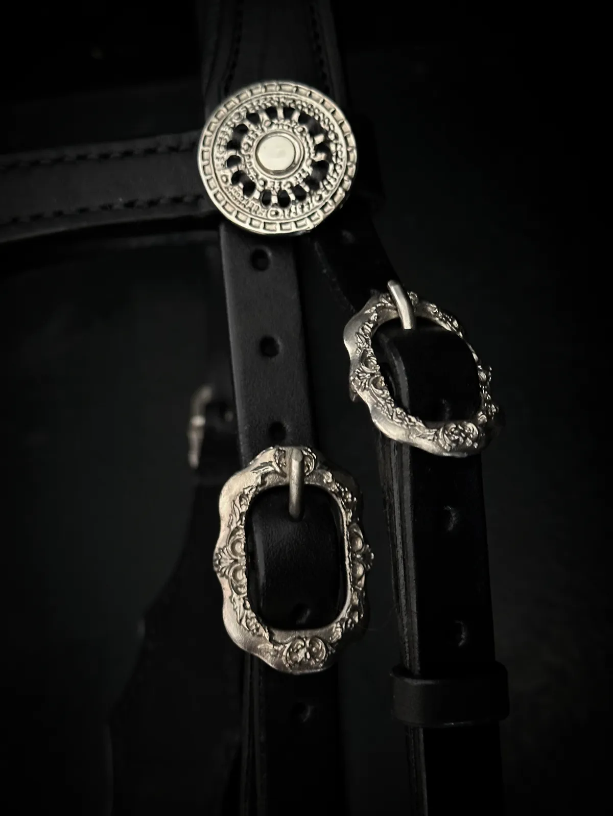 Уздечка с уклоном в стиль барокко 