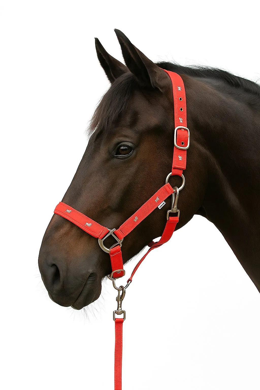 Недоуздок с нейлоновым чомбуром HorsePlanet