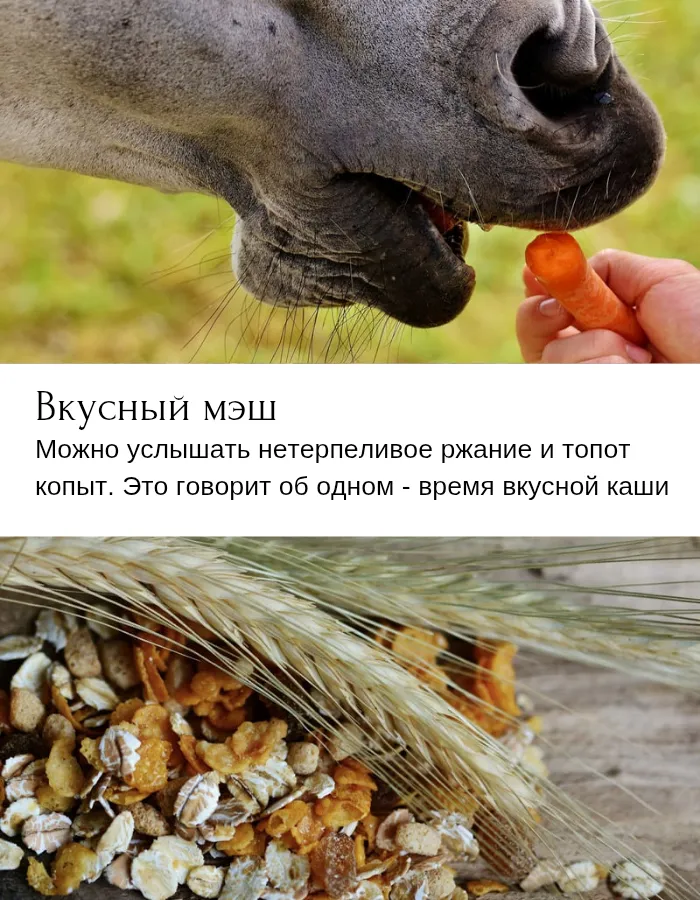 Ароматический диффузор "Вкусный мэш"