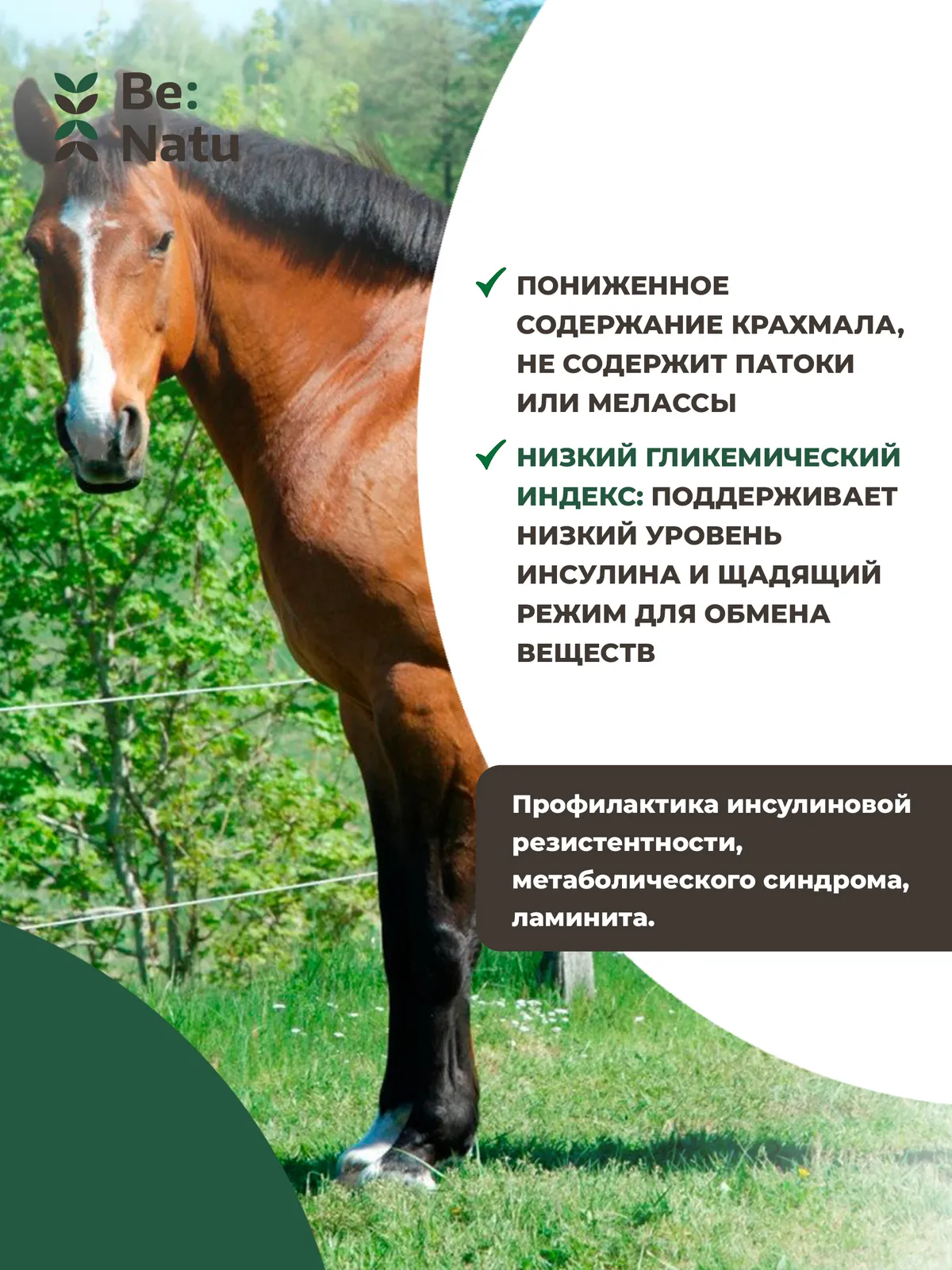 Metamix 20кг.