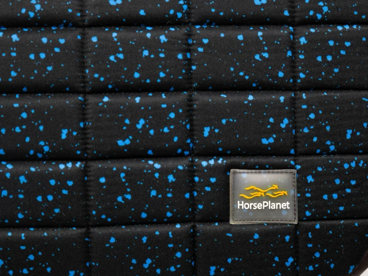 Вальтрап выездковый Graz