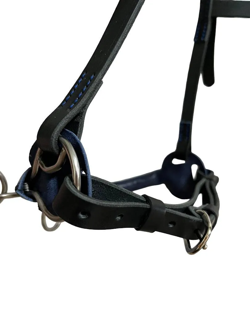 Кавессон с цепью Cob - Full 