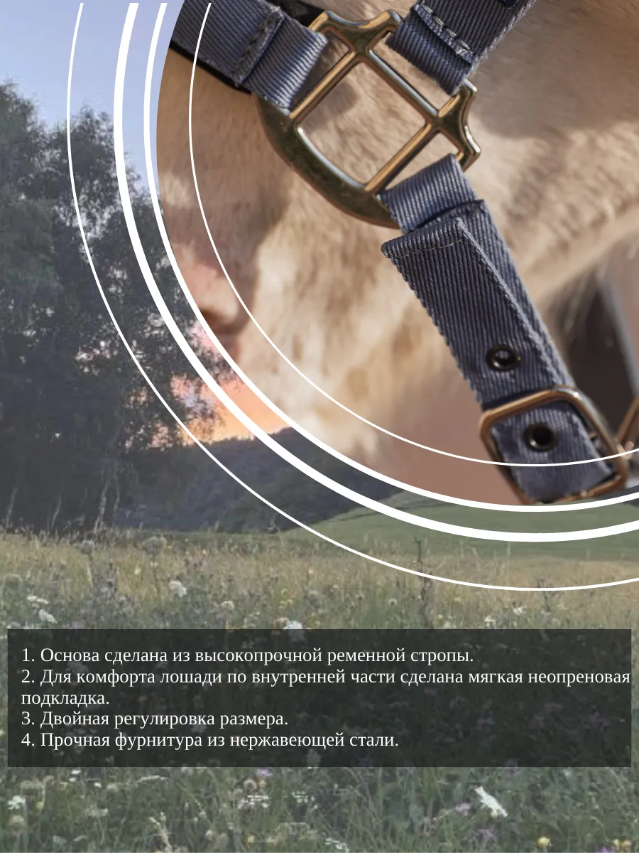 Недоуздок FAVORITE HORSE Comfort (голубой)
