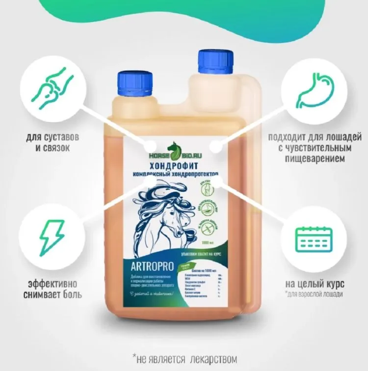 Horse-bio: Хондропротектор Хондрофит ArtroPro для лошадей(без сахара), 1 л.