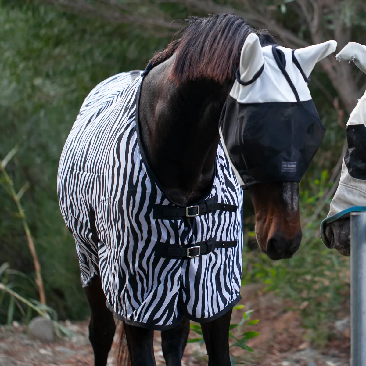 Попона антимоскитная Zebra Print