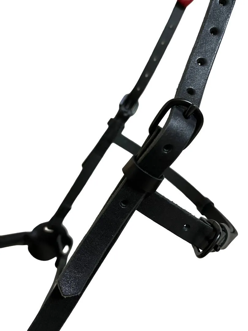 Кавессон с цепью  Cob - Full