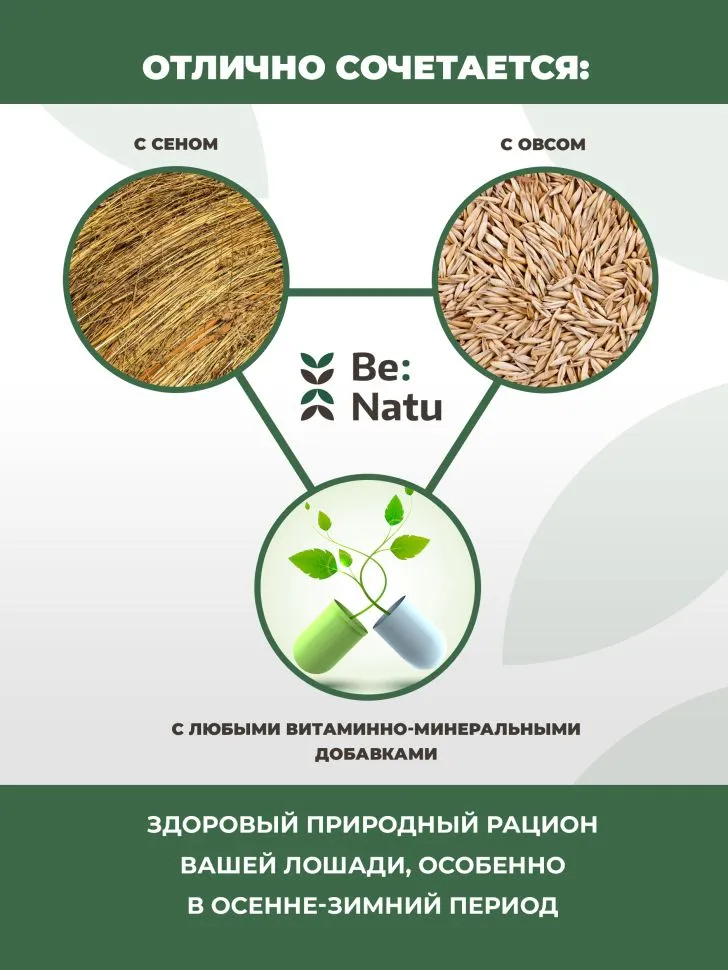 Be:Natu Чудо каша быстрого приготовления для спортивных лошадей, 20 кг