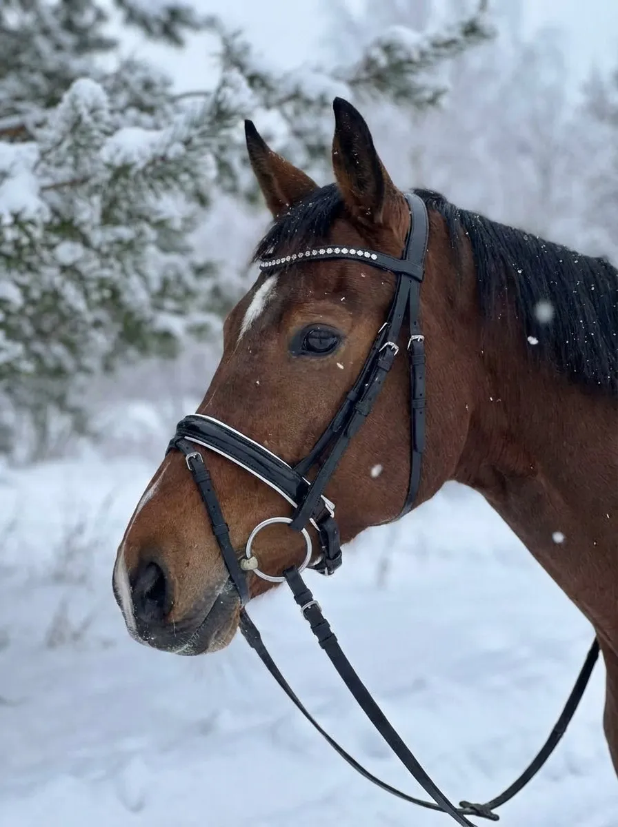 Трензельное оголовье Регина HorsePlanet