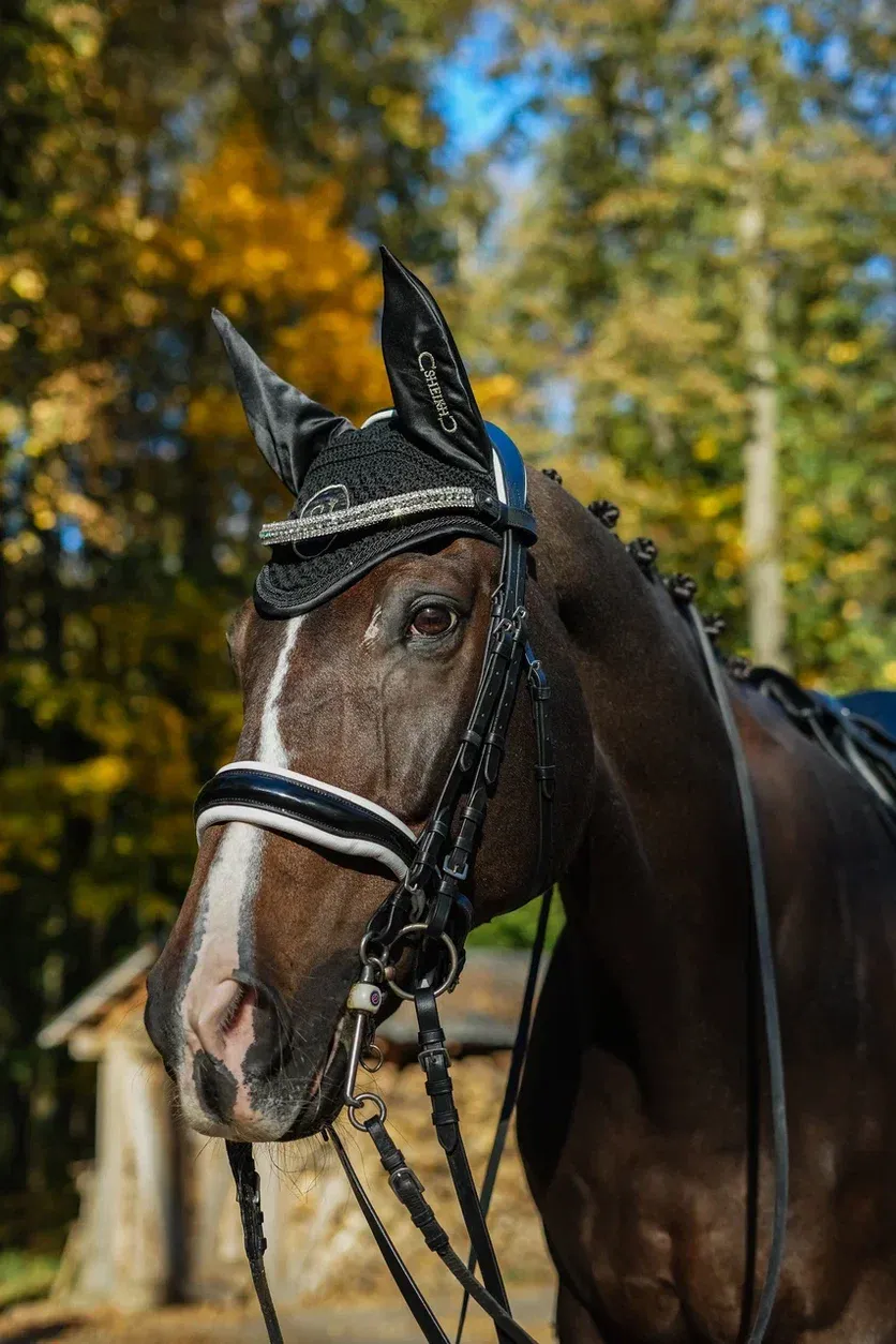 Ушки для лошади SHEIKH HORSE BRAND, коллекция ORIENTAL, цвет черный, р-р Full