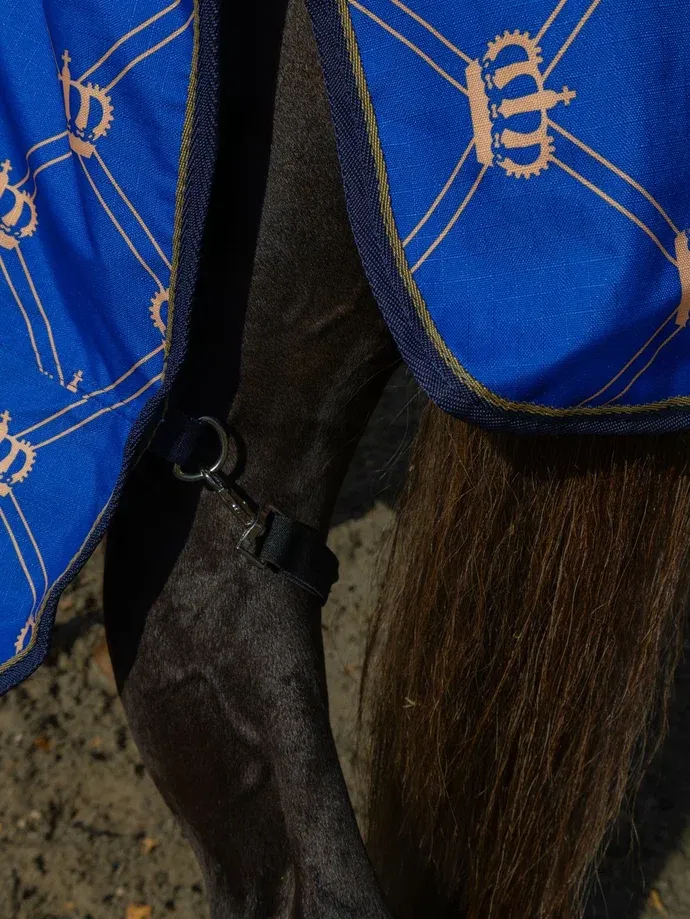 Дождевая попона CROWN HorsePlanet 50grm