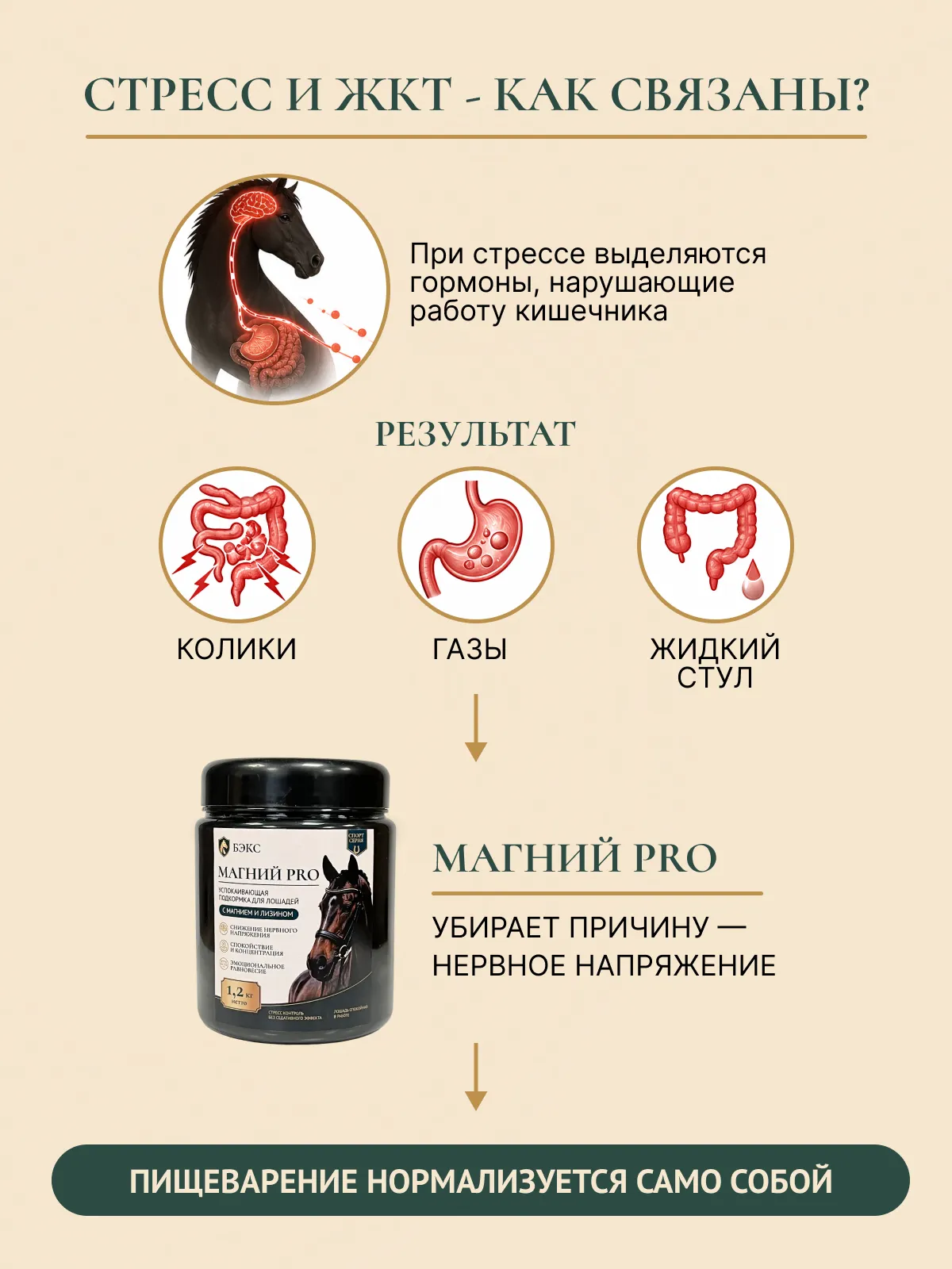 Успокаивающая подкормка для лошадей "МАГНИЙ PRO"