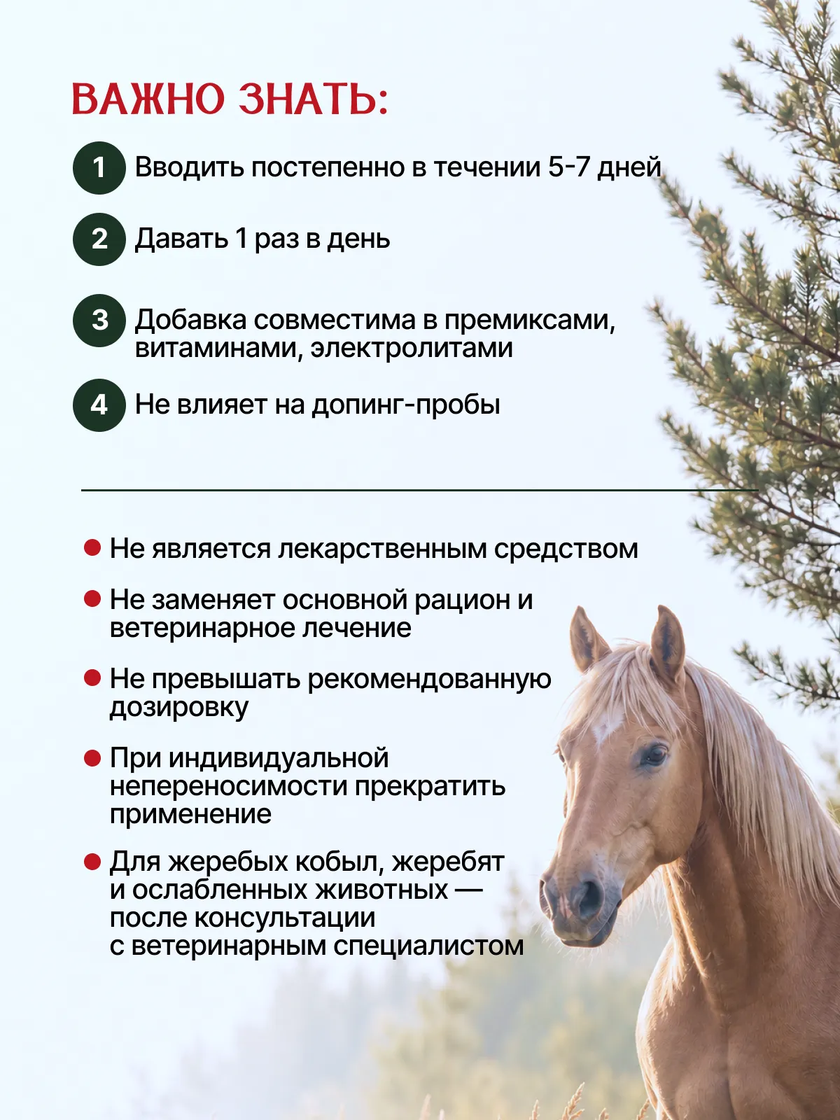Натуральная кормовая добавка для лошадей "ТАЁЖНАЯ СИЛА"