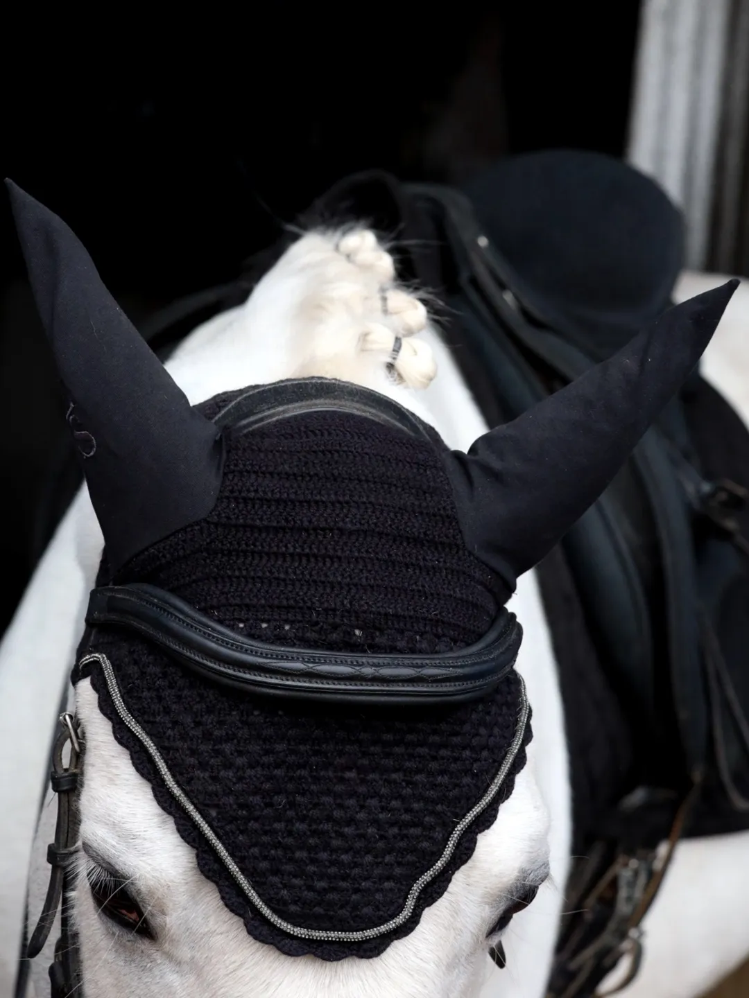 Вальтрап • Weightless • ( Черный | конкур )