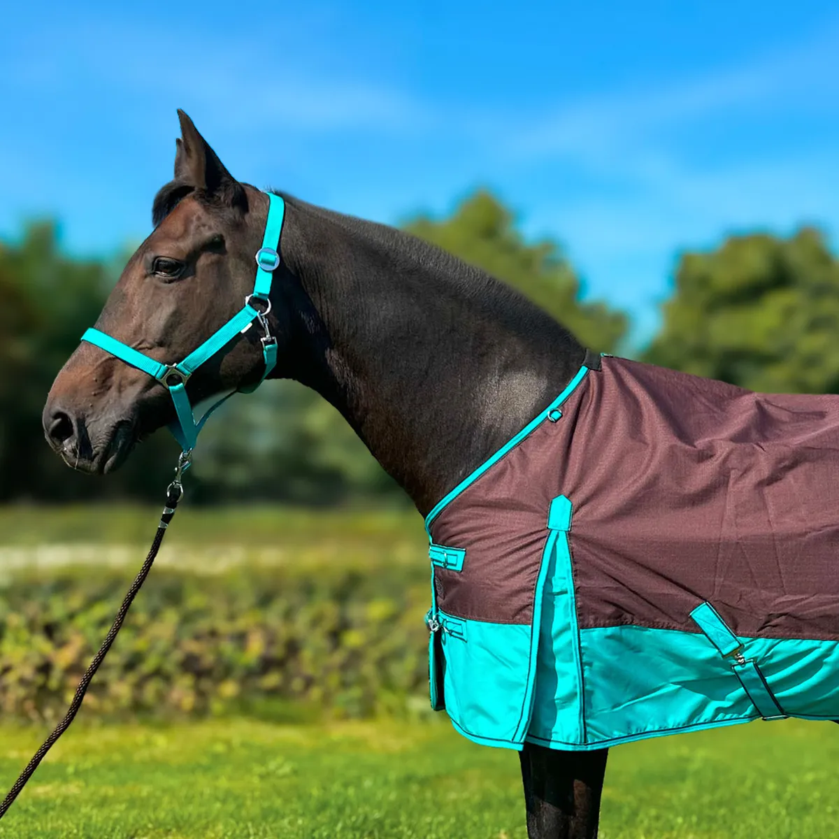 Попона York Clarion зимняя/дождевая/50 гр коричнево-бирюзовая 135 см