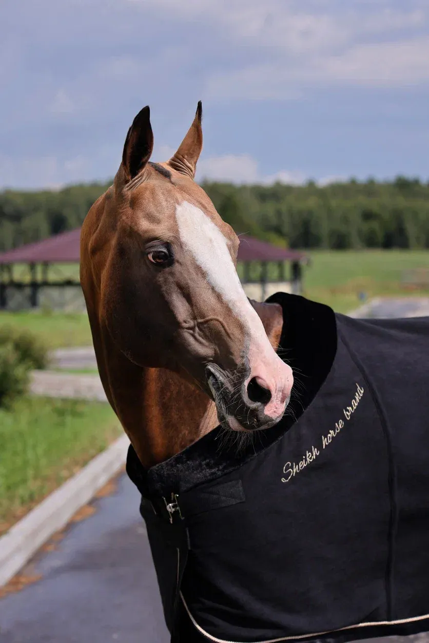 Попона SHEIKH HORSE BRAND, коллекция ORIENTAL, цвет черный, р-р 145