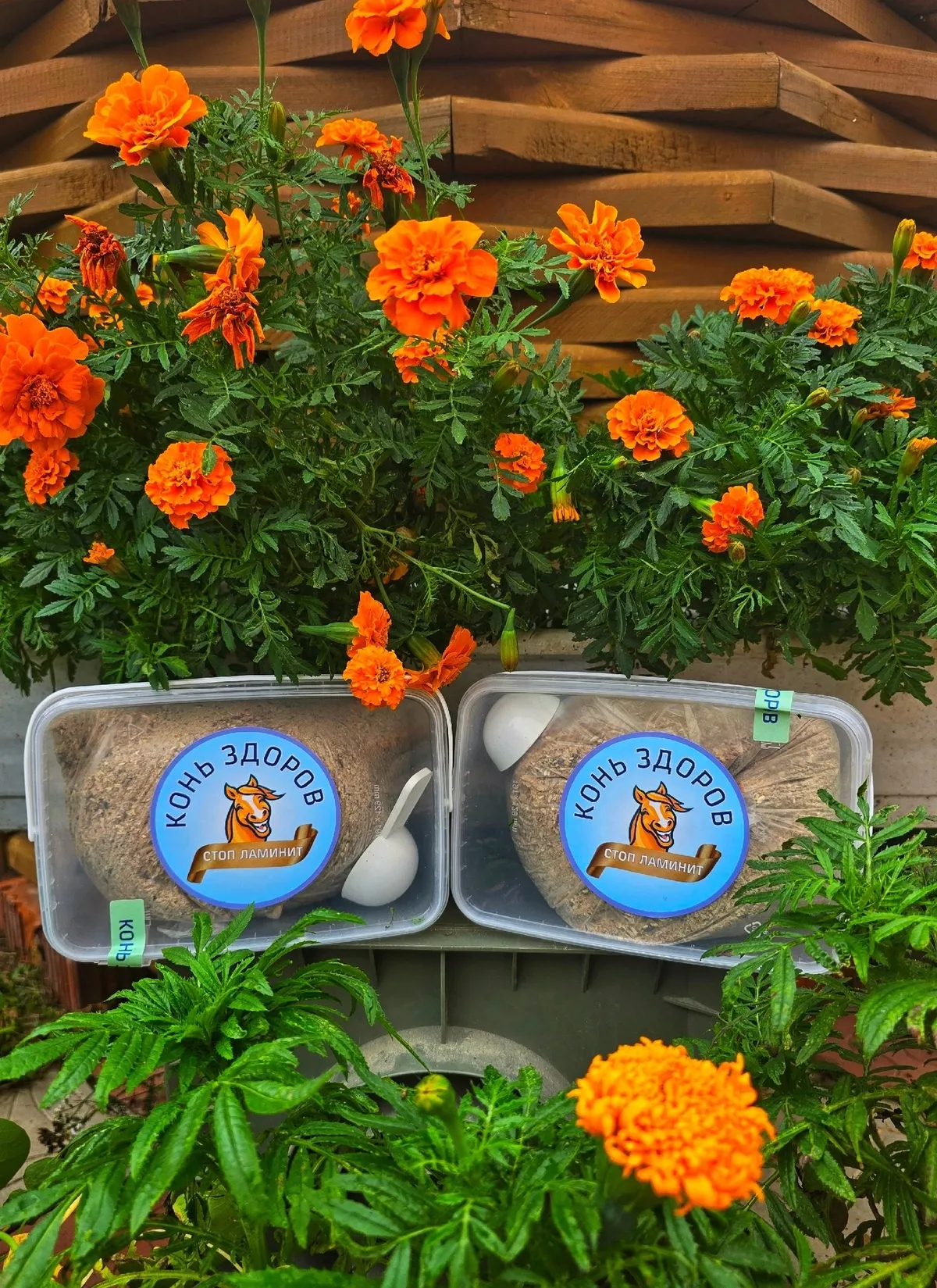 Стоп Ламинит