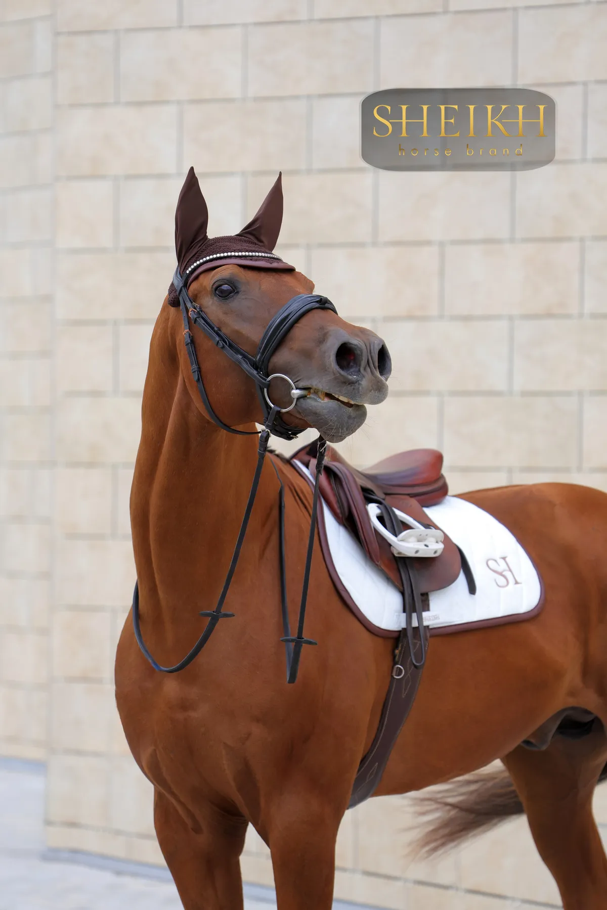 Вальтрап конкурный для верховой езды, конного спорта SHEIKH HORSE BRAND, коллекция FOREST, белый