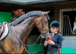 Масло Hoof oil