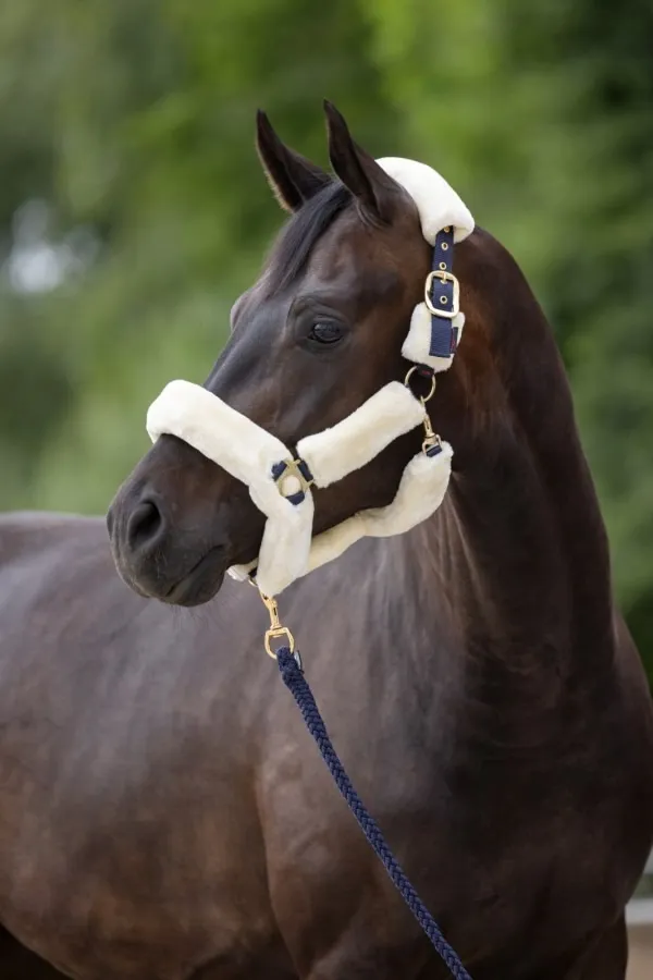 Недоуздок Supersoft синий с искусственным мехом cob