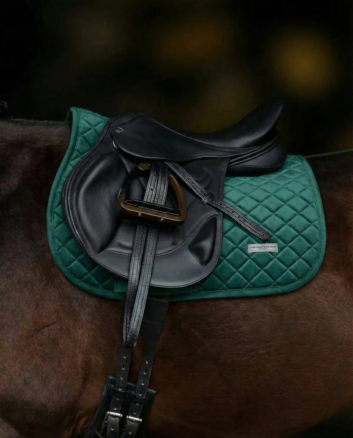 Вальтрап • Weightless • ( Изумруд | конкур )