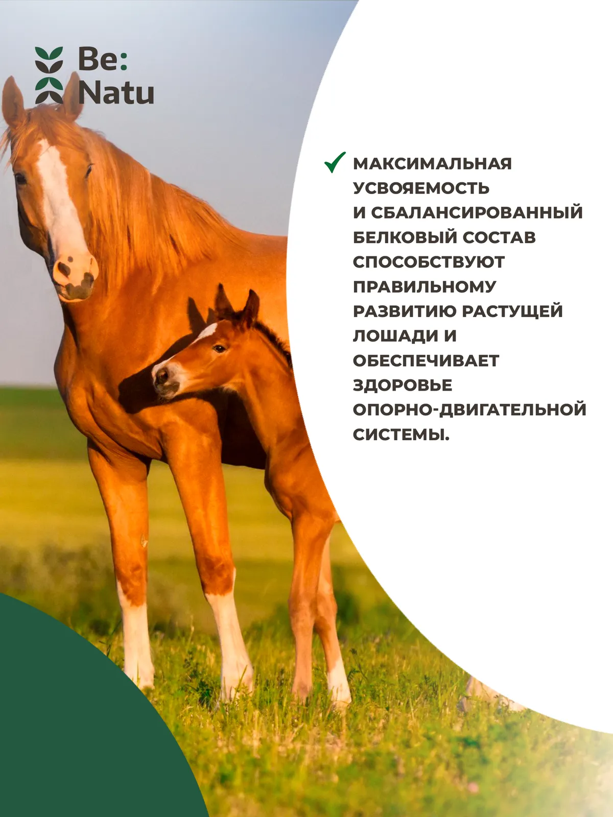 Junior mix 20кг.