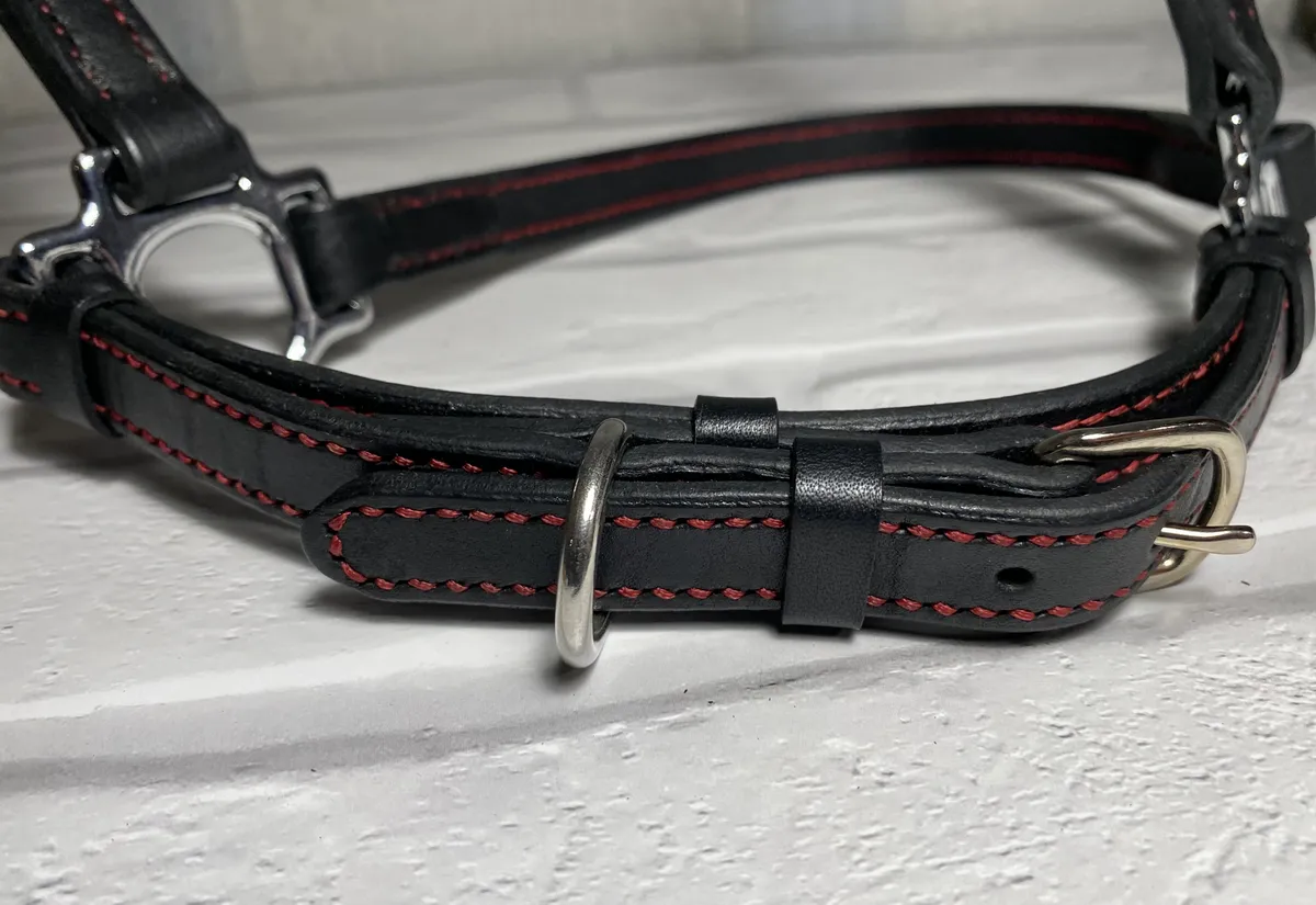 Выводной недоуздок Full