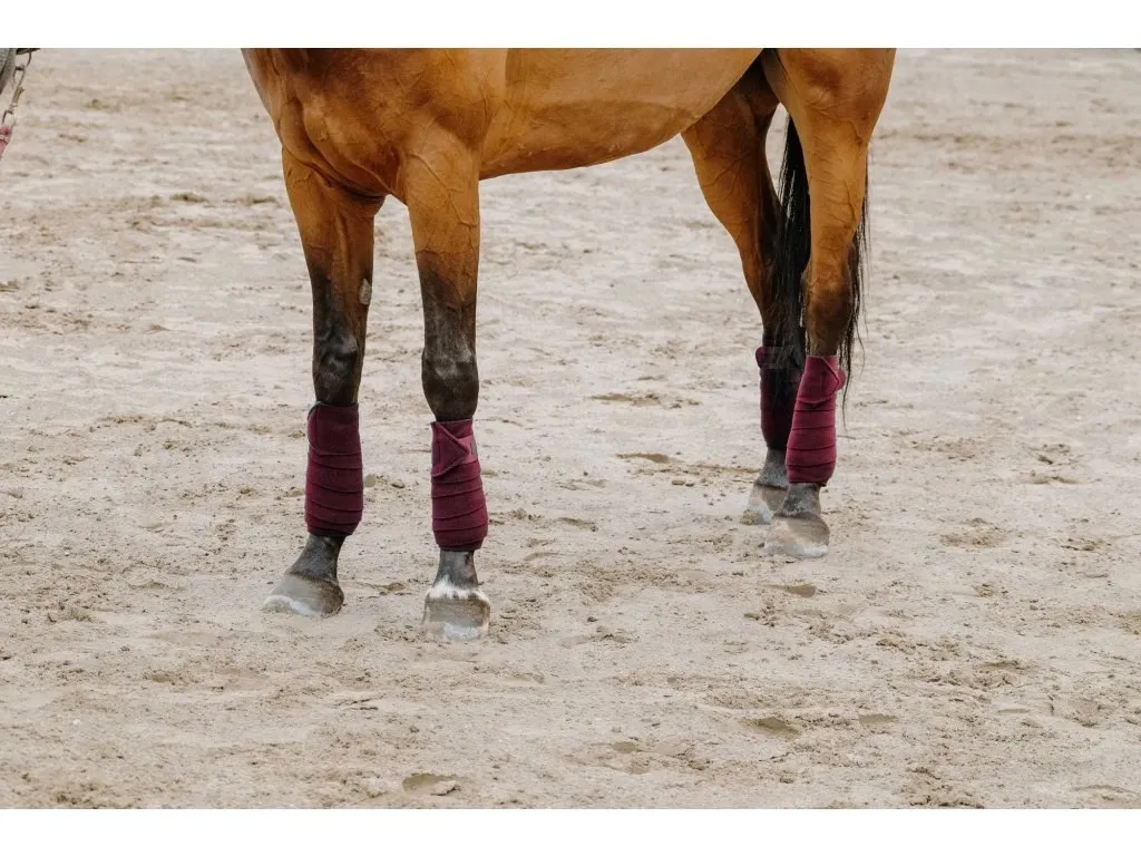 Бинты флисовые EQUITHÈME, стан, бордо