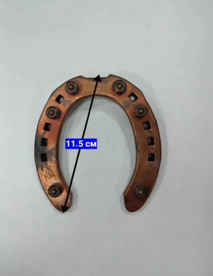 Подкова для прогулок по асфальту, 8*20 mm с 6 шипами, №0, пара