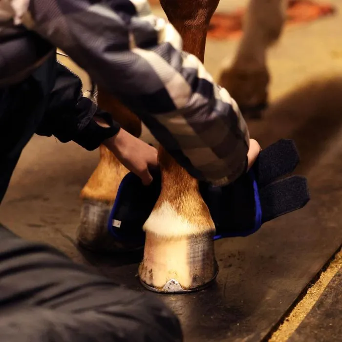 Колокольчики охлаждающие, пара, М