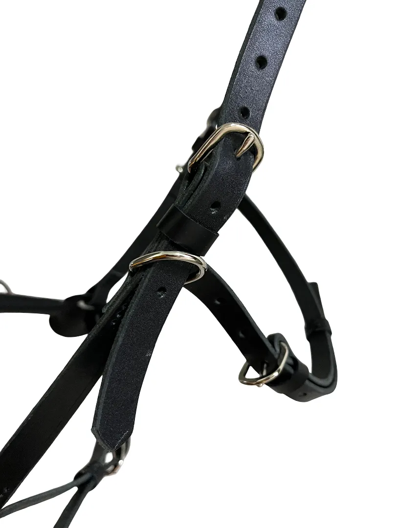 Кожаный кавессон с цепью Cob - Full