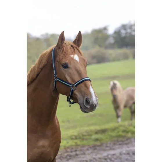 Недоуздок PONY NORTON SOFT Ekkia