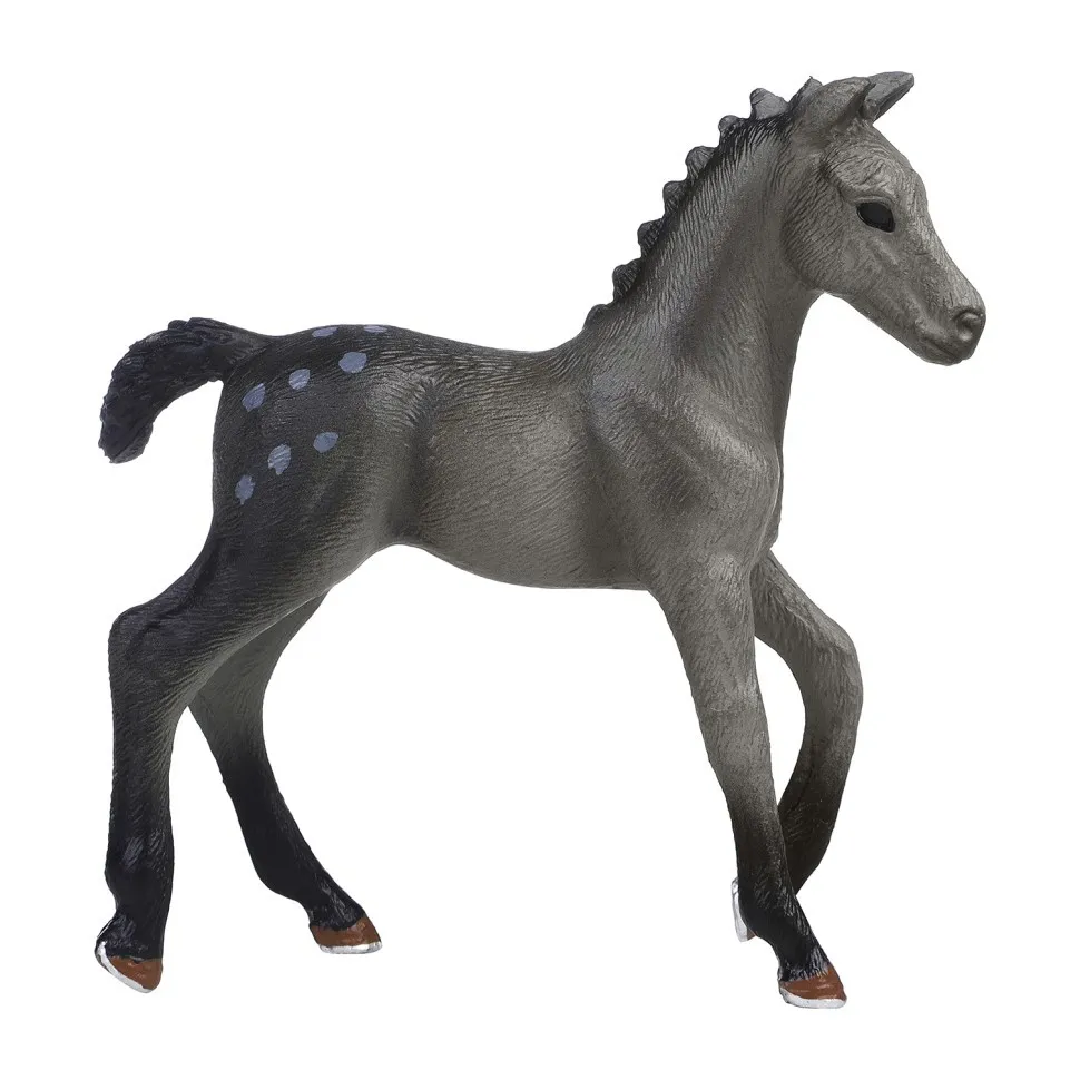 Лошадь и жеребенок, наездница и ограждение