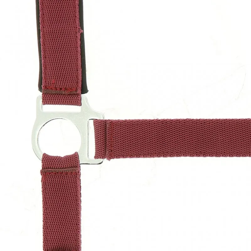 Недоуздок NORTON NYLON (Черный/Розовый, Cob)
