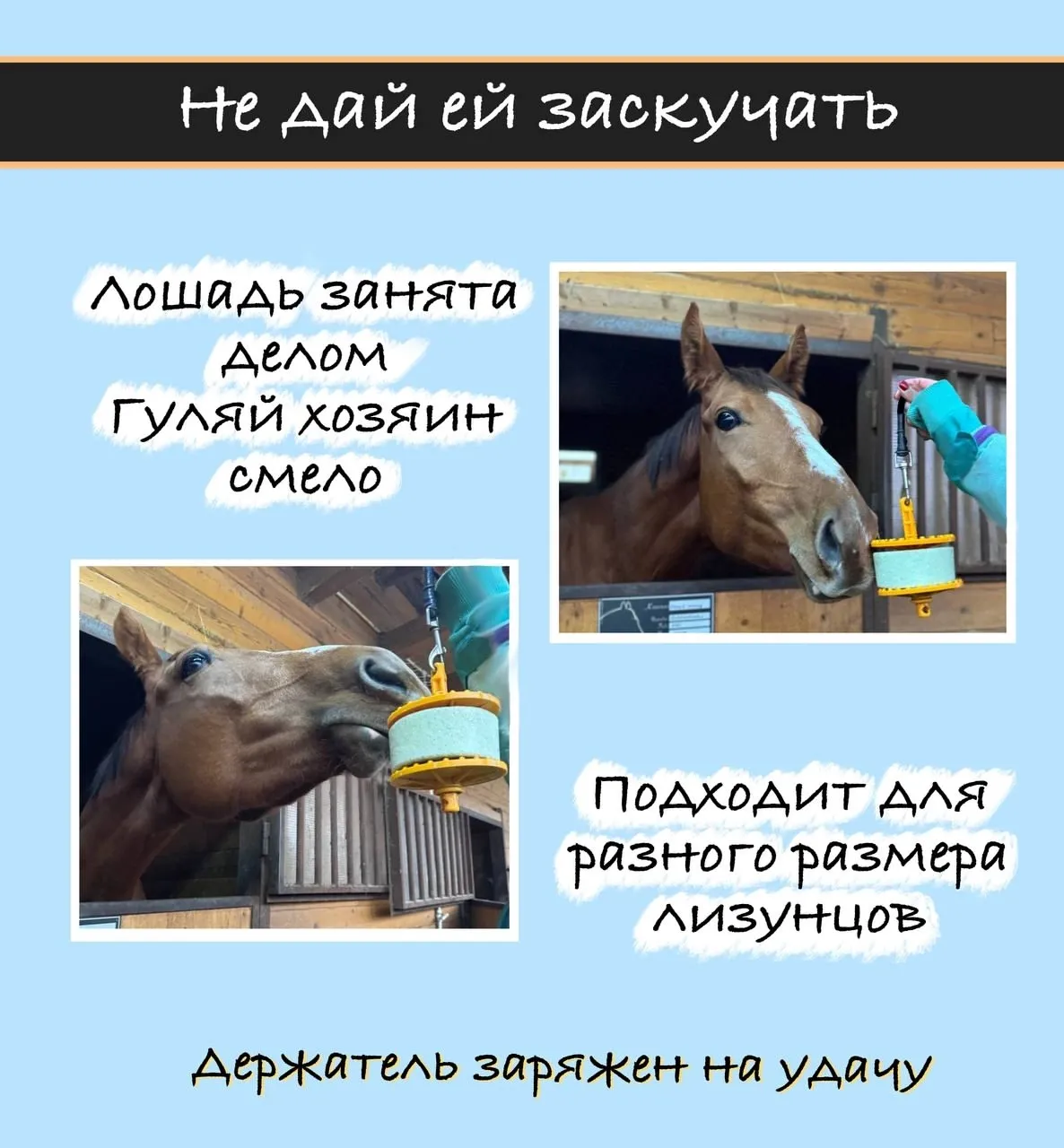 Держатель для лизунца (мат. пластик) (бирюзовый)
