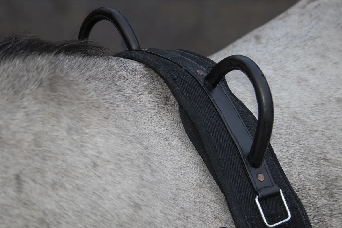 Гурта c мягкими ручками Canvas