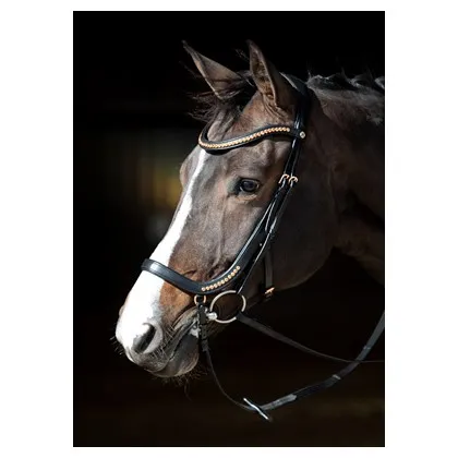 Оголовье "Anatomic Rosegold"