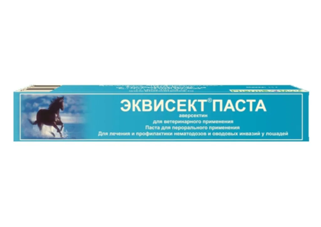 Эквисект