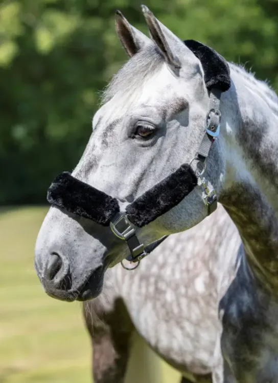 Недоуздок "LeMieux" с искусственным мехом