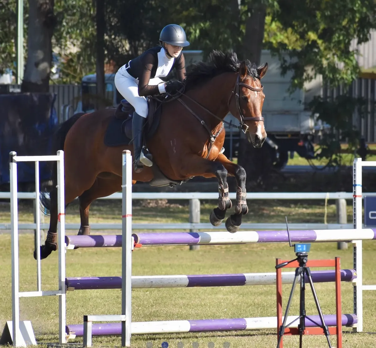 Стартовое поло Noralla Equestrian - L