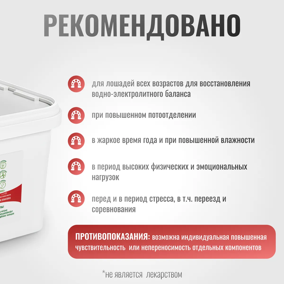 Электролит EnergyPro для лошадей MAXI, 3000 г
